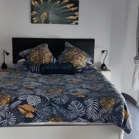 Mowani's Apartment